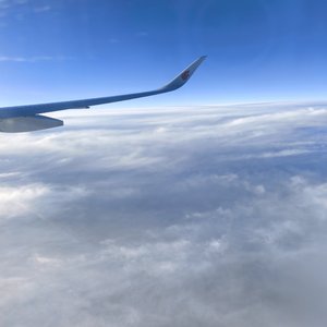 老己，替我自由