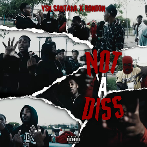 Not a Diss