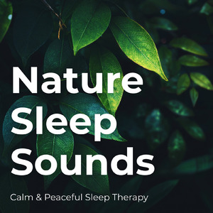 眠りの浅い貴方のための快眠音楽 1分で眠れるヒーリングギター (自律神経を整える睡眠用 森 鳥)