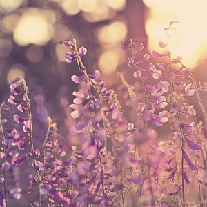 精彩下班后按摩环境