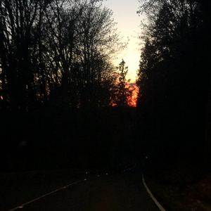 Sicko Flow (Instrumental)