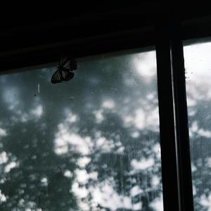 Freedom Loop in Satie’s Gymnopedies 1