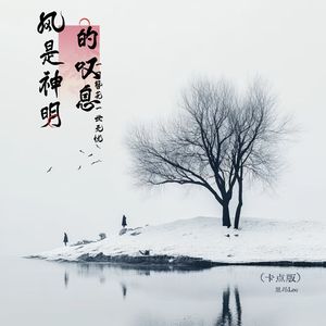 风是神明的叹息 (卡点版)