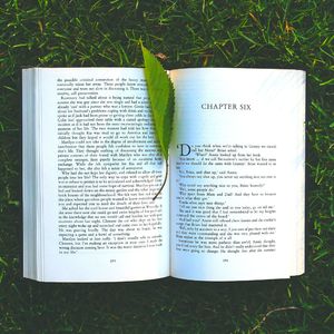 抚慰的小说回忆