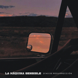 Seguidores y Seguidos