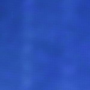 MNIYC（翻自 GJ）