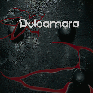 Territorio Comanche (Conceptronik Mix)