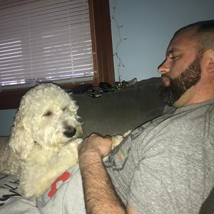 Scottsman Scruff