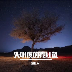 失眠夜的霓虹鱼
