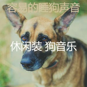 抚慰的可爱的狗回忆