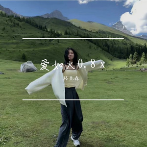 爱如火 0.8 x