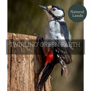 Summer Day Near a Waterfall