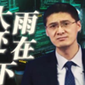 还在下(罗翔)