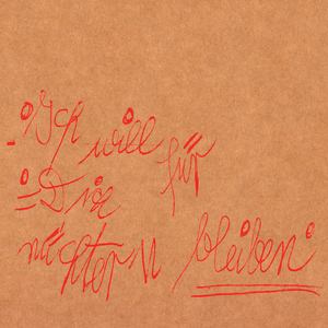 Abschaffen (Dandyrevolution - Frittenbude Remix)