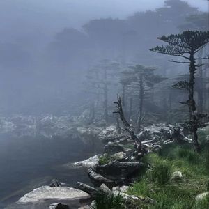 【殉情潭】asian rock Type Beat