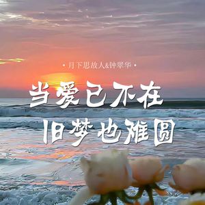 当爱已不在旧梦也难圆 (对唱版)