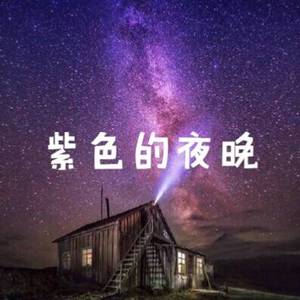 紫色的夜晚（demo）