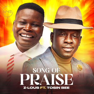 Song of Praise (feat. Tosin Bee)