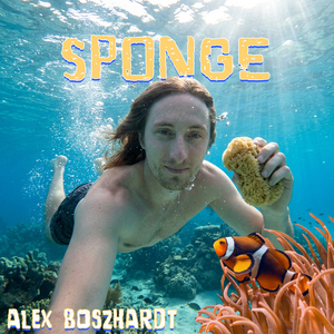 Sponge