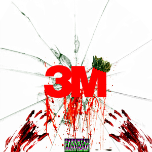 3M