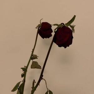 不想再见一面(Prod EVOMUSIC&颜书艺(Kumark))