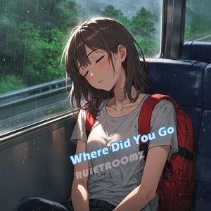 Where Did You Go