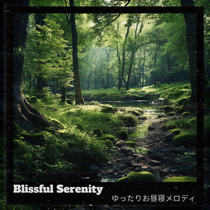 Solace in the Coral Reef