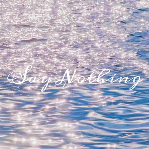 Say Nothing