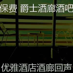 柔和的酒吧酒店时刻