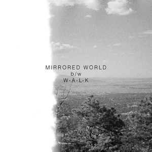 Mirrored World
