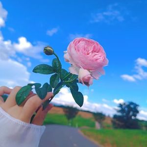 《钢琴律动的时光》