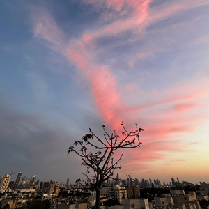 פרידה להרף עין