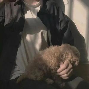 杀一人我便是罪