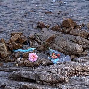 假如爱它真的会自有天意