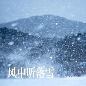 风中听落雪 (Cover 小阿枫)