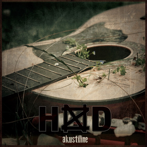 Langenud inglite maal (Acoustic Version)