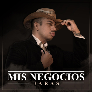 Mis Negocios