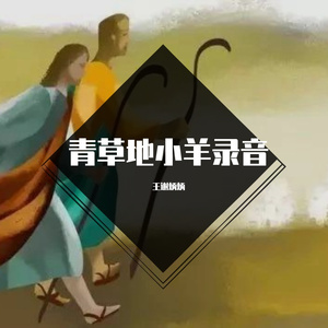 乔永强-卡农（我的野蛮女友）插曲版