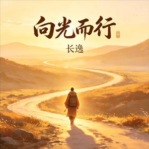 向光而行 (治愈版)