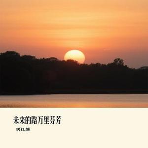 未来的路万里芬芳