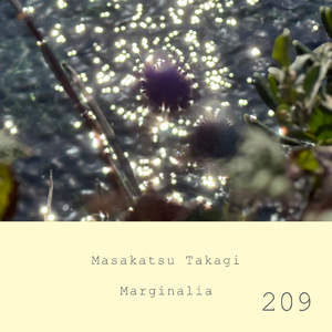 Marginalia #209