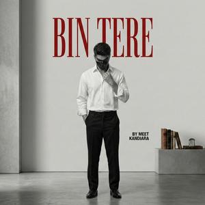 Bin Tere