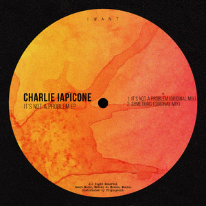 It's Not A Problem (Original Mix)