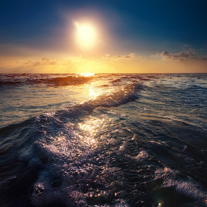 El Camino Se Desarrolla