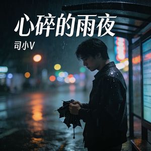 心碎的雨夜