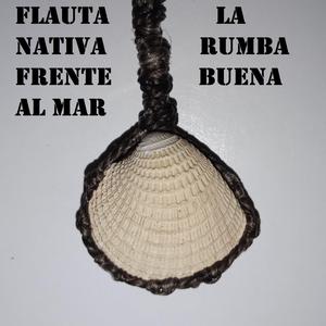 Flauta nativa frente al mar
