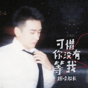 可惜你没有等我