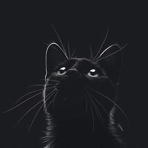 最后一次为你流泪