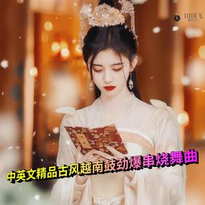 DJ国飞-中英文精品古风越南鼓劲爆串烧舞曲（DJ国飞 remix）