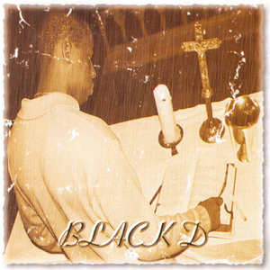 Pajaro Que Anida Por Su Cuenta